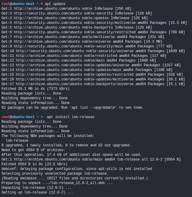 Actualizar paquetes e instalar paquete lsb-release