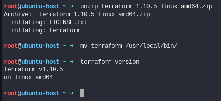 Descomprimir archivo, mover binario y ver version de Terraform